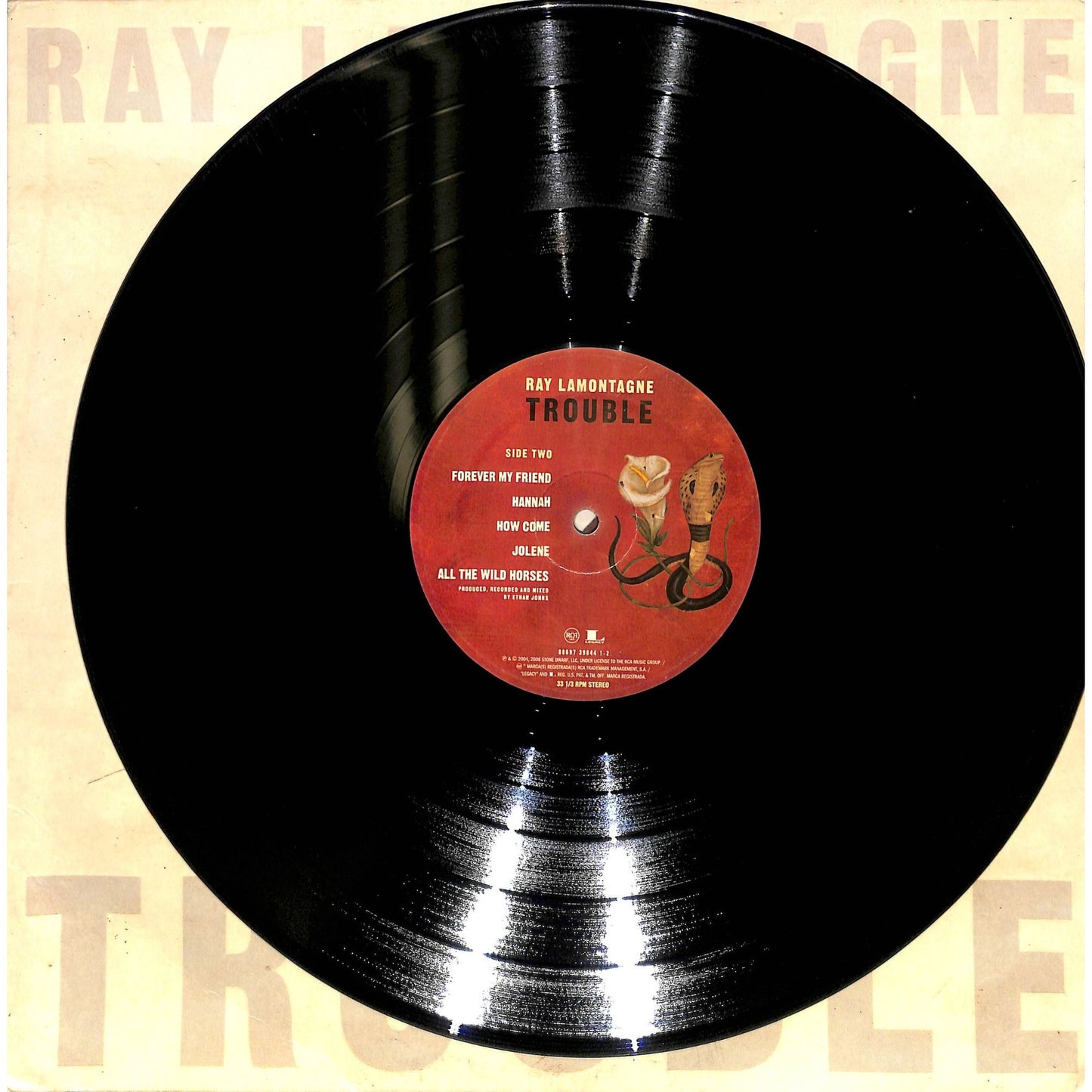 Ray Lamontagne Trouble (2008) 886973984413