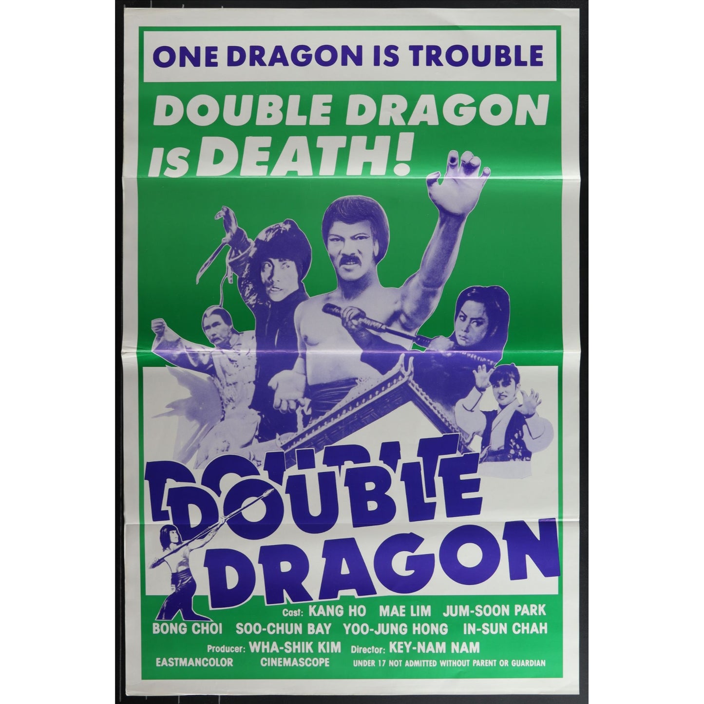 Collection of 31 Kung-Fu Martial Arts Tri-Folded Original Movie Posters