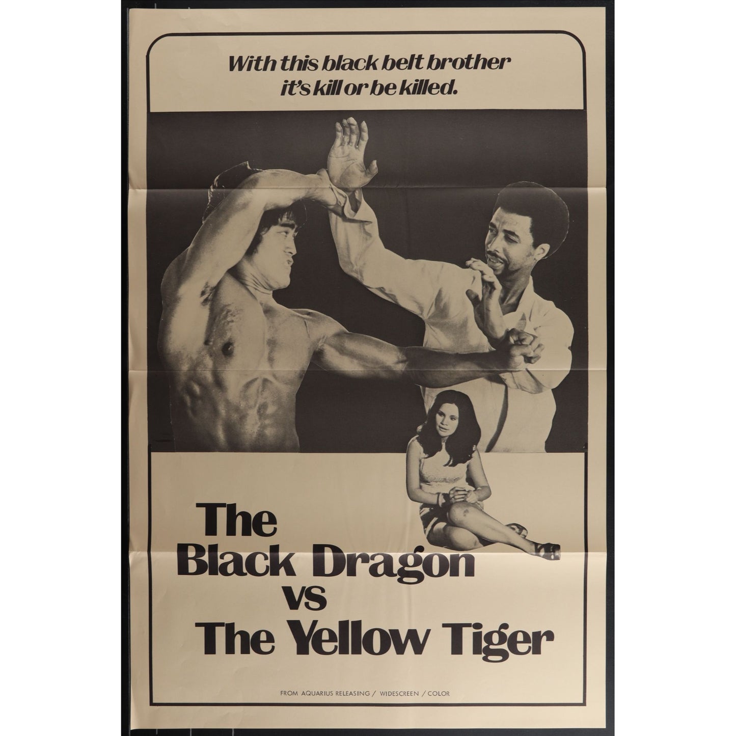 Collection of 31 Kung-Fu Martial Arts Tri-Folded Original Movie Posters