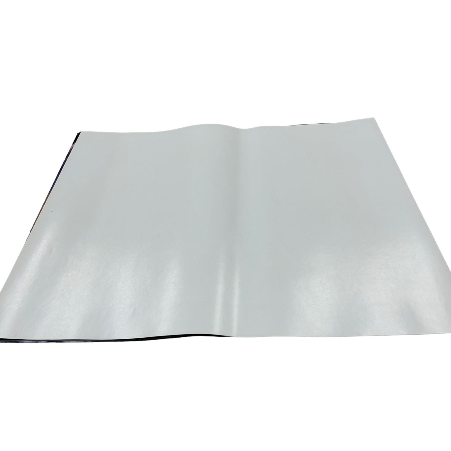 2 Live Crew - As Nasty as They Want to Be - Original Album Release Poster 17x22