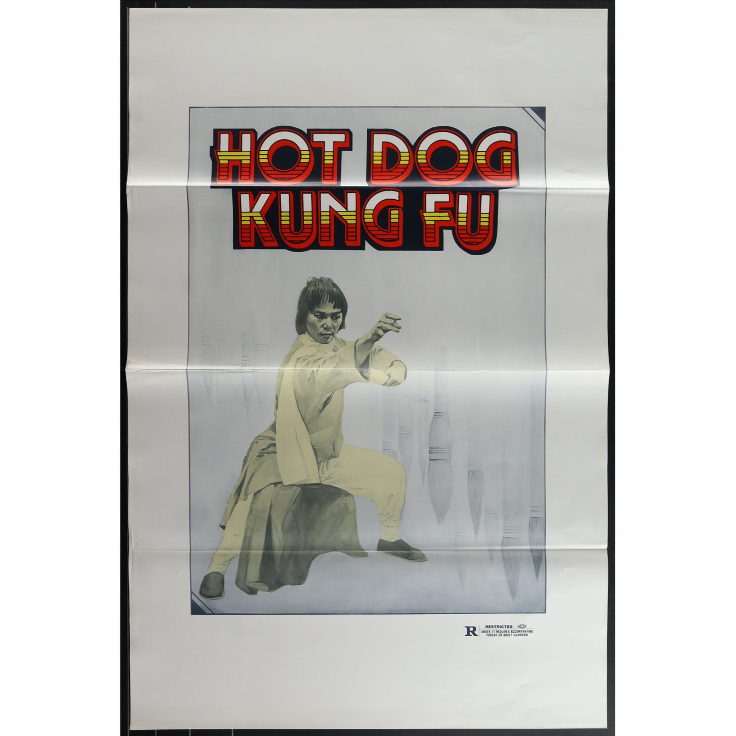 Collection of 31 Kung-Fu Martial Arts Tri-Folded Original Movie Posters