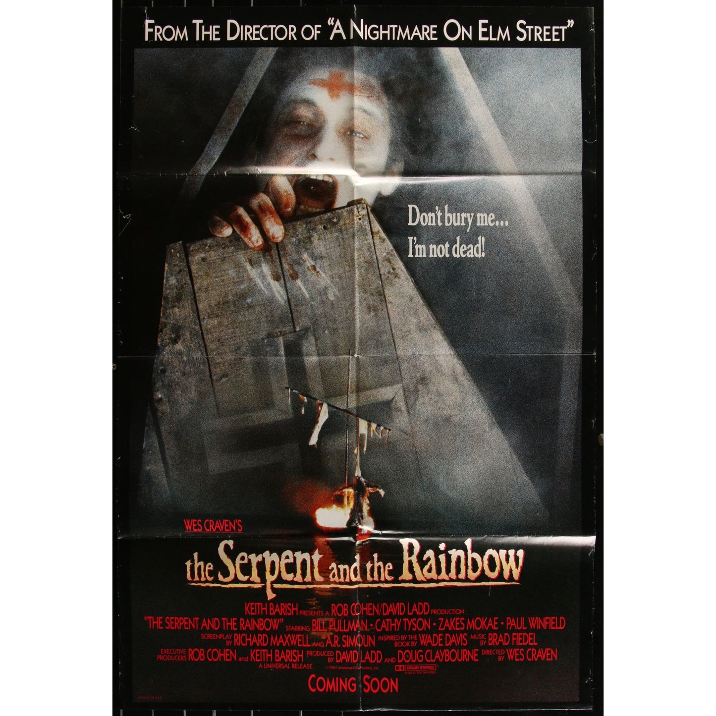 The Serpent and the Rainbow (1988) Movie Poster Wes Craven Bill Pullman EMP42