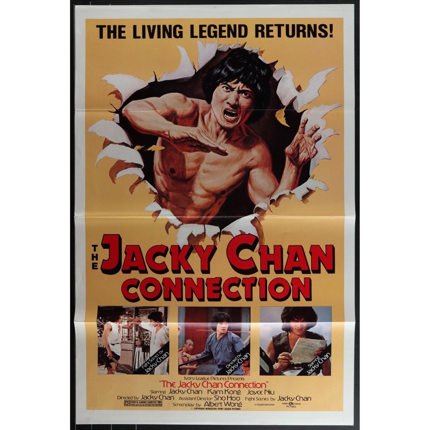 Collection of 31 Kung-Fu Martial Arts Tri-Folded Original Movie Posters