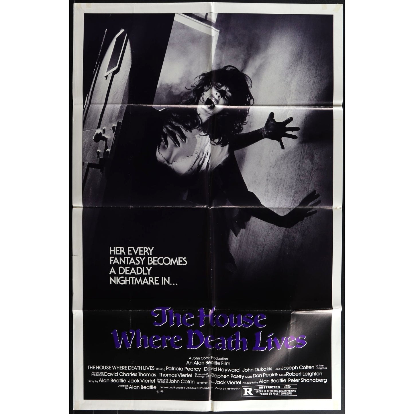 The house Where Death Lives (1981) Original Movie Poster Folded 27x41