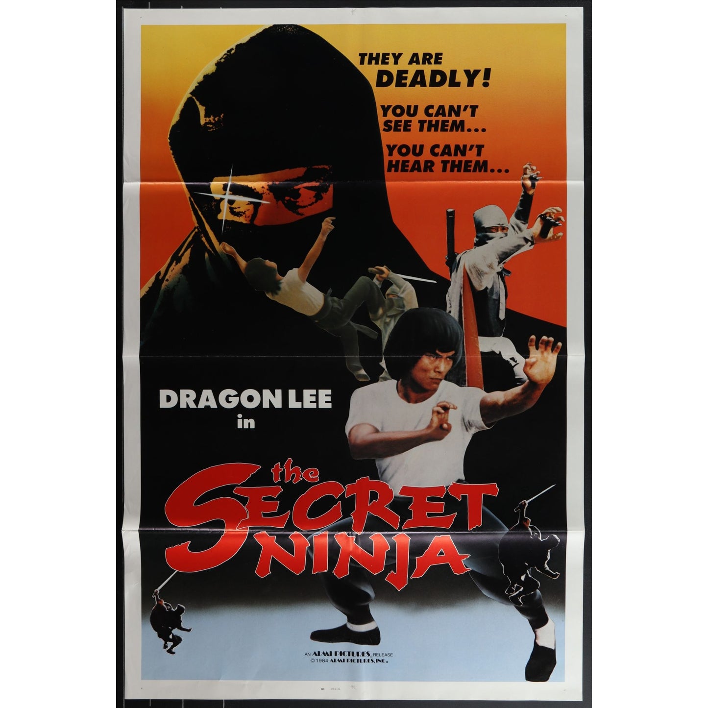 Collection of 31 Kung-Fu Martial Arts Tri-Folded Original Movie Posters