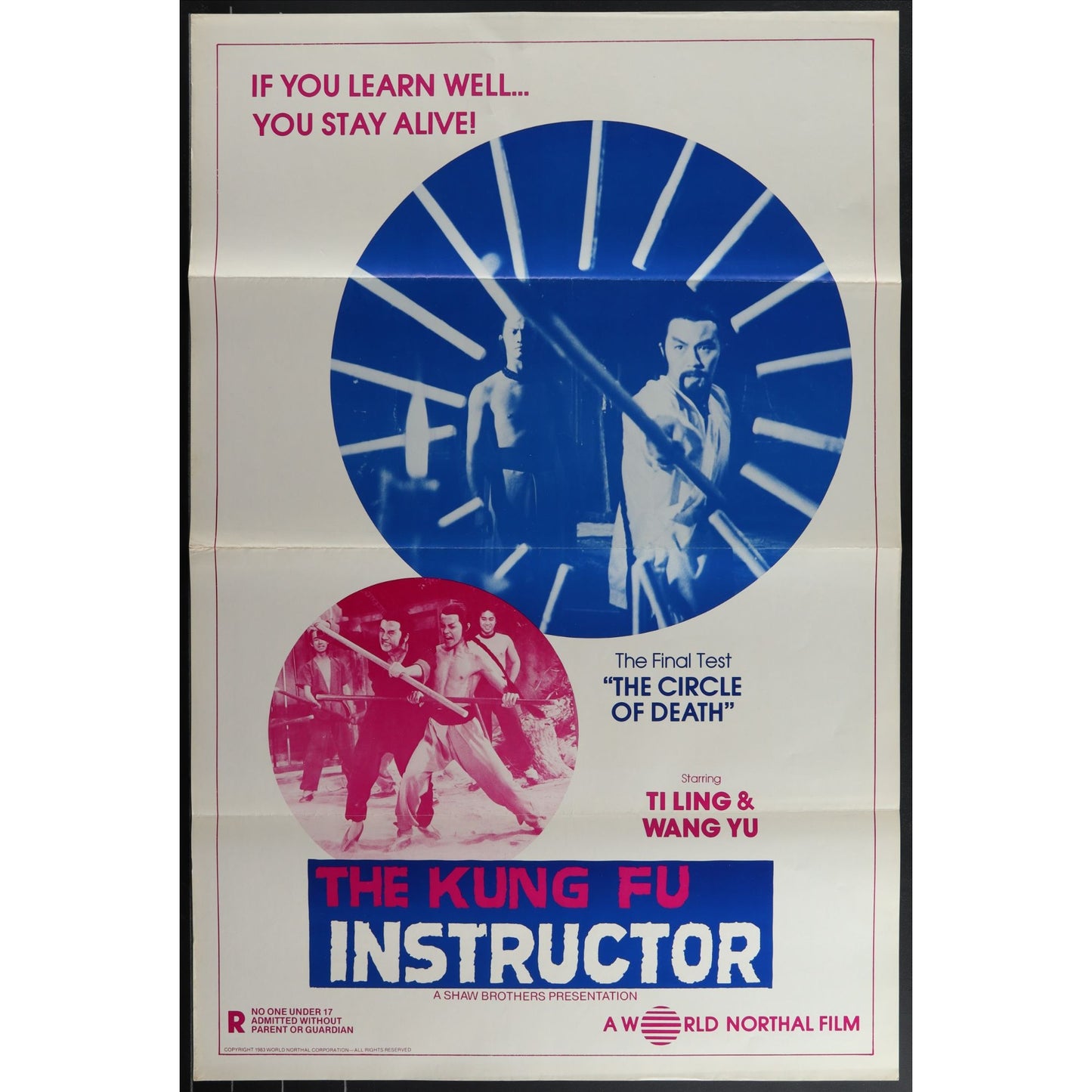 Collection of 31 Kung-Fu Martial Arts Tri-Folded Original Movie Posters
