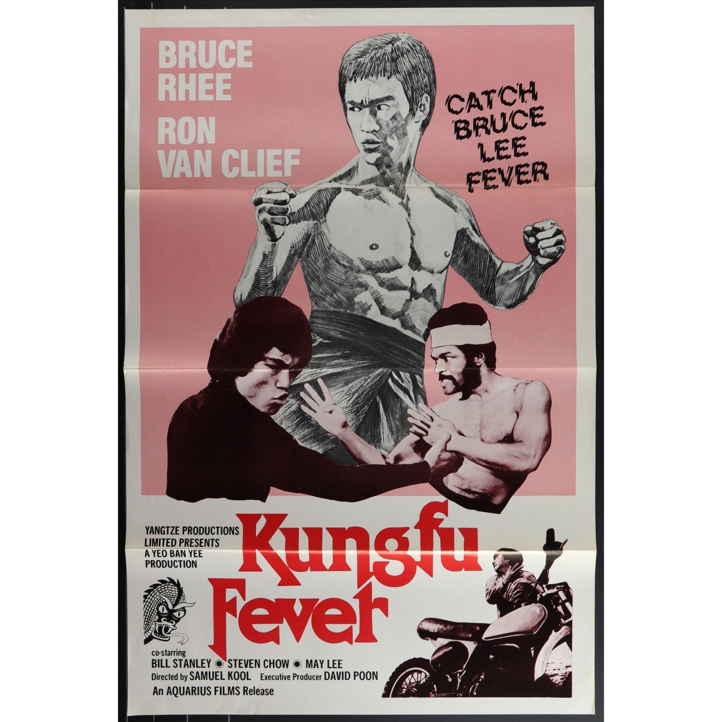Collection of 31 Kung-Fu Martial Arts Tri-Folded Original Movie Posters