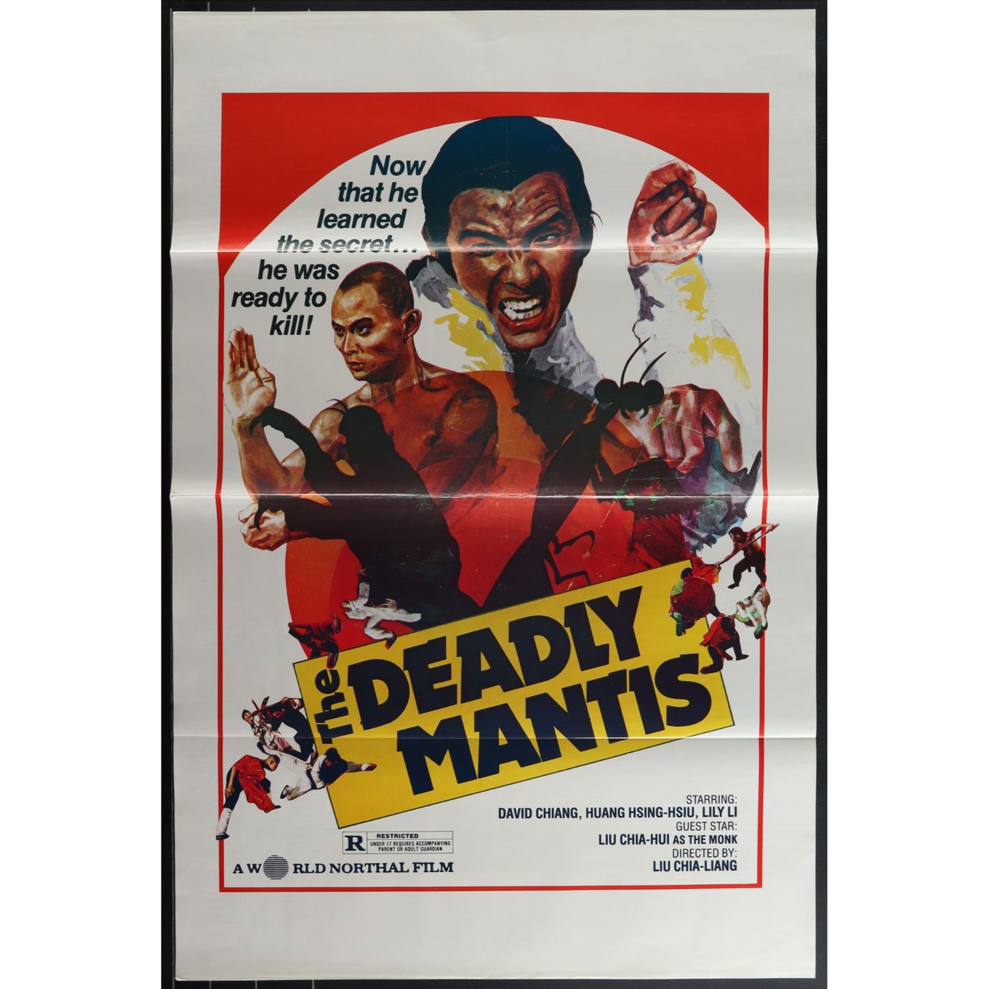 Collection of 31 Kung-Fu Martial Arts Tri-Folded Original Movie Posters