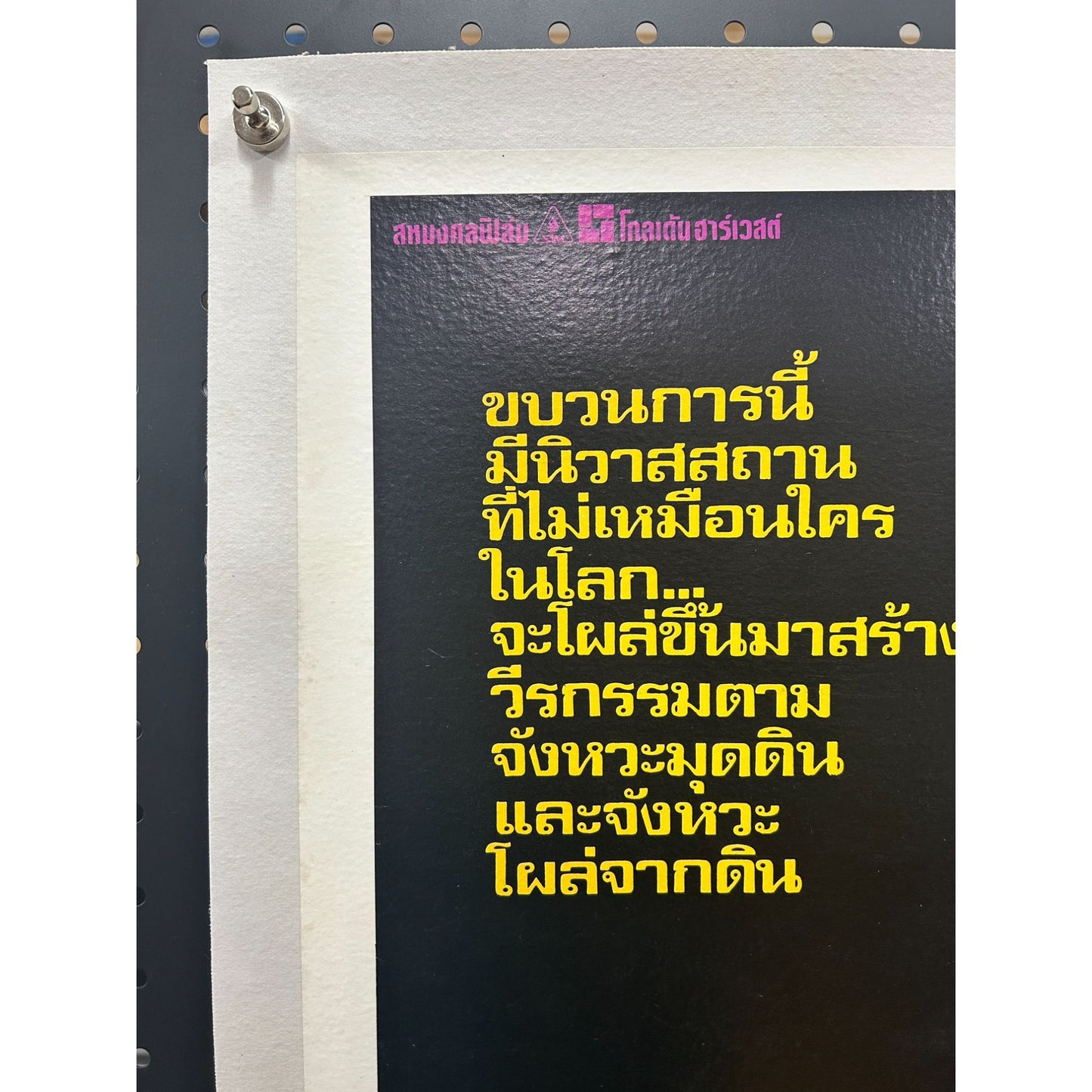 TMNT Ninja Turtles Original Thai Linenbacked Restored Poster Ex Cond! 31.5x21.5"