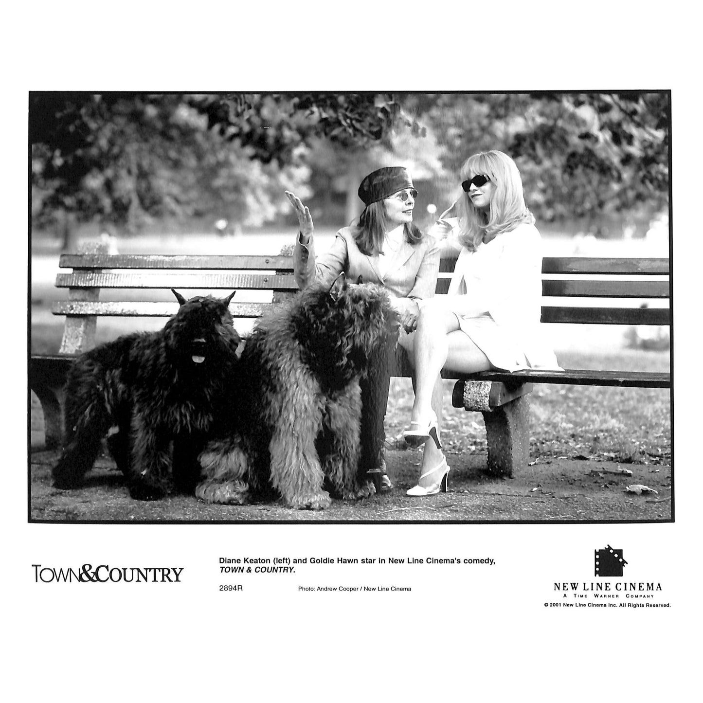 Town & Country (2001) Movie 10 Stills 8X10