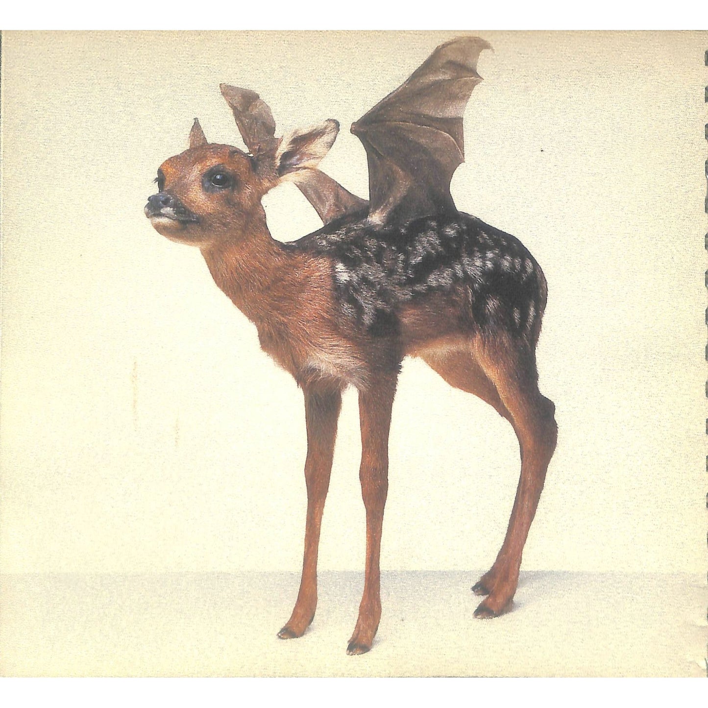 Christie's Contemporary Auction Catalog Dec 8, 1998