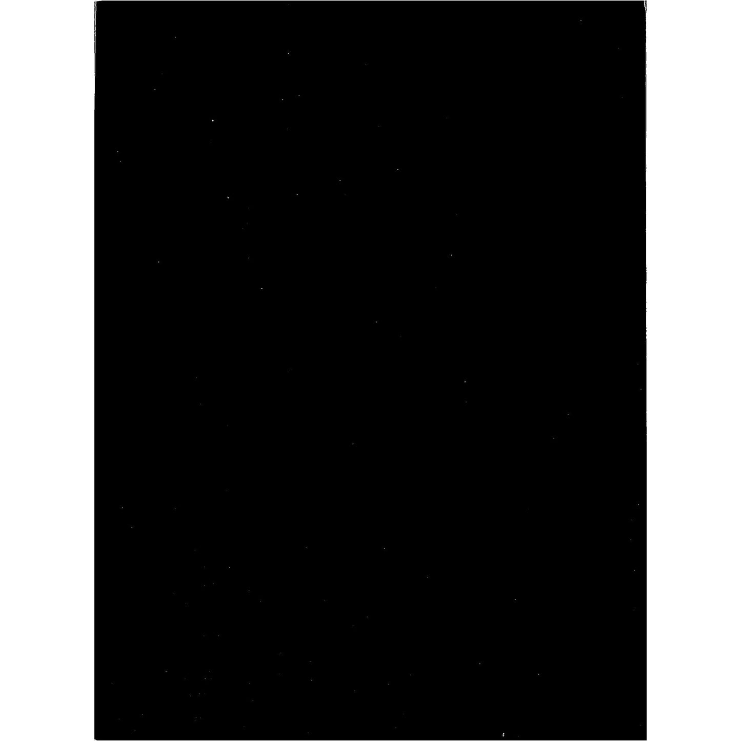 Fred Tomaselli Art Exhibition Catalog, 2000-2001