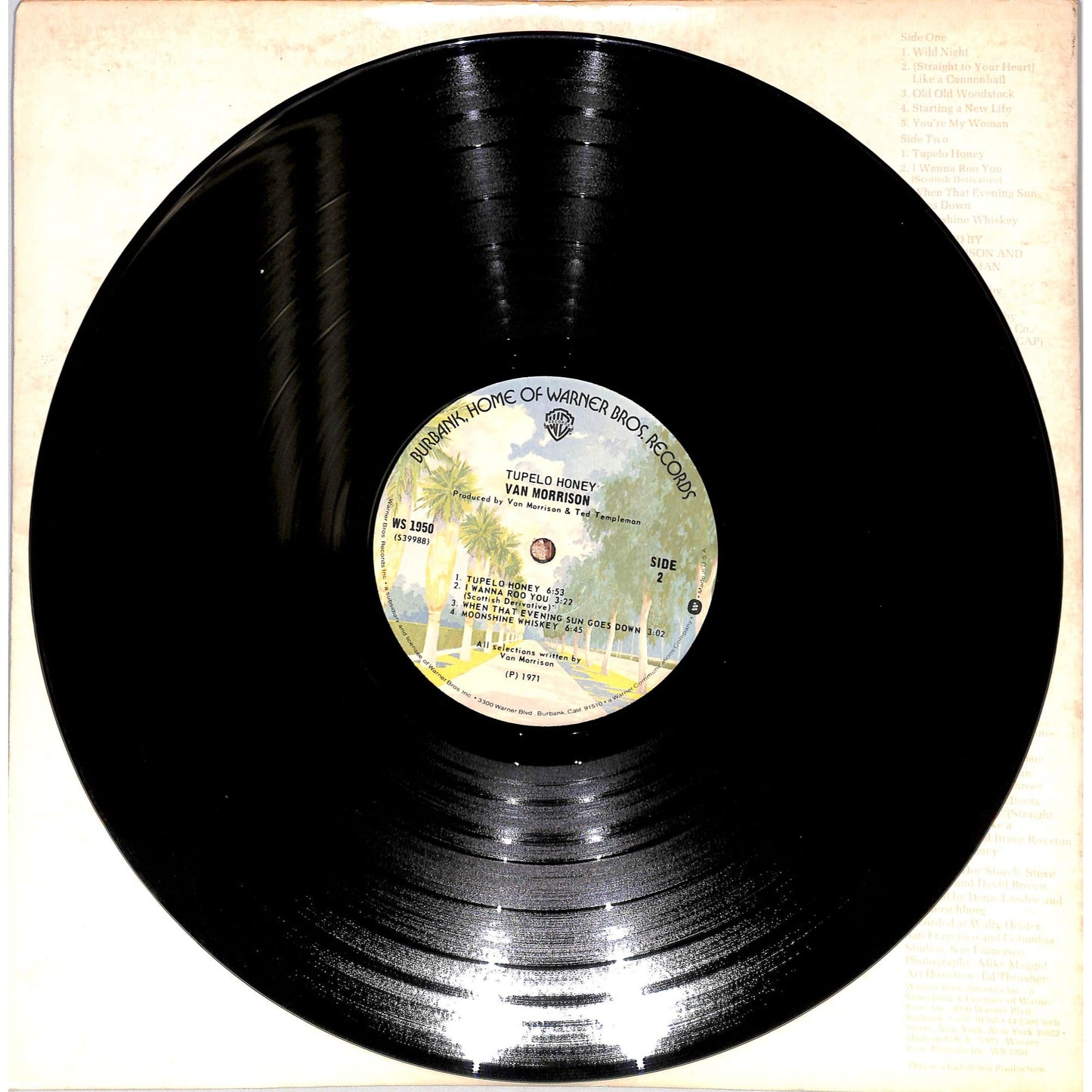 Van Morrison - Tupelo Honey Vinyl Record WS 1950