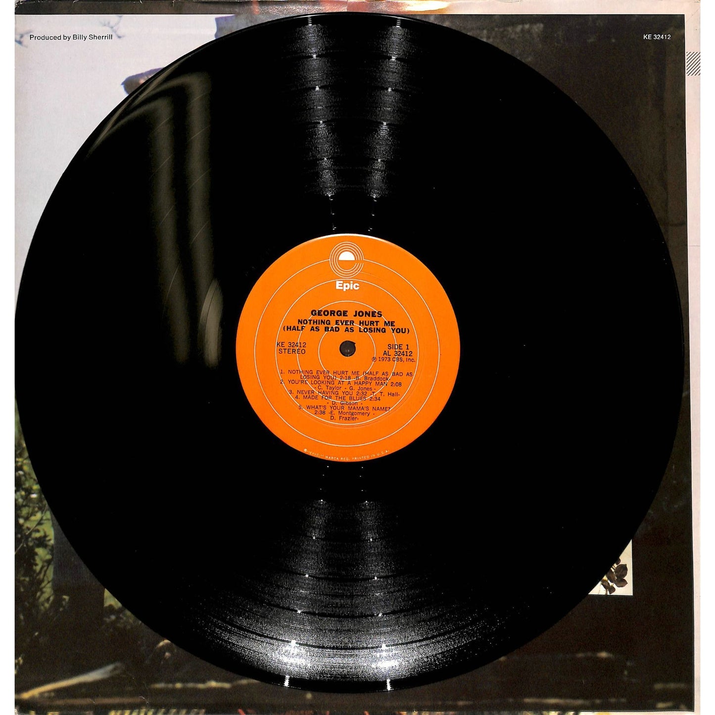 George Jones - Nothing Ever Hurt Me Vinyl Record KE 34212