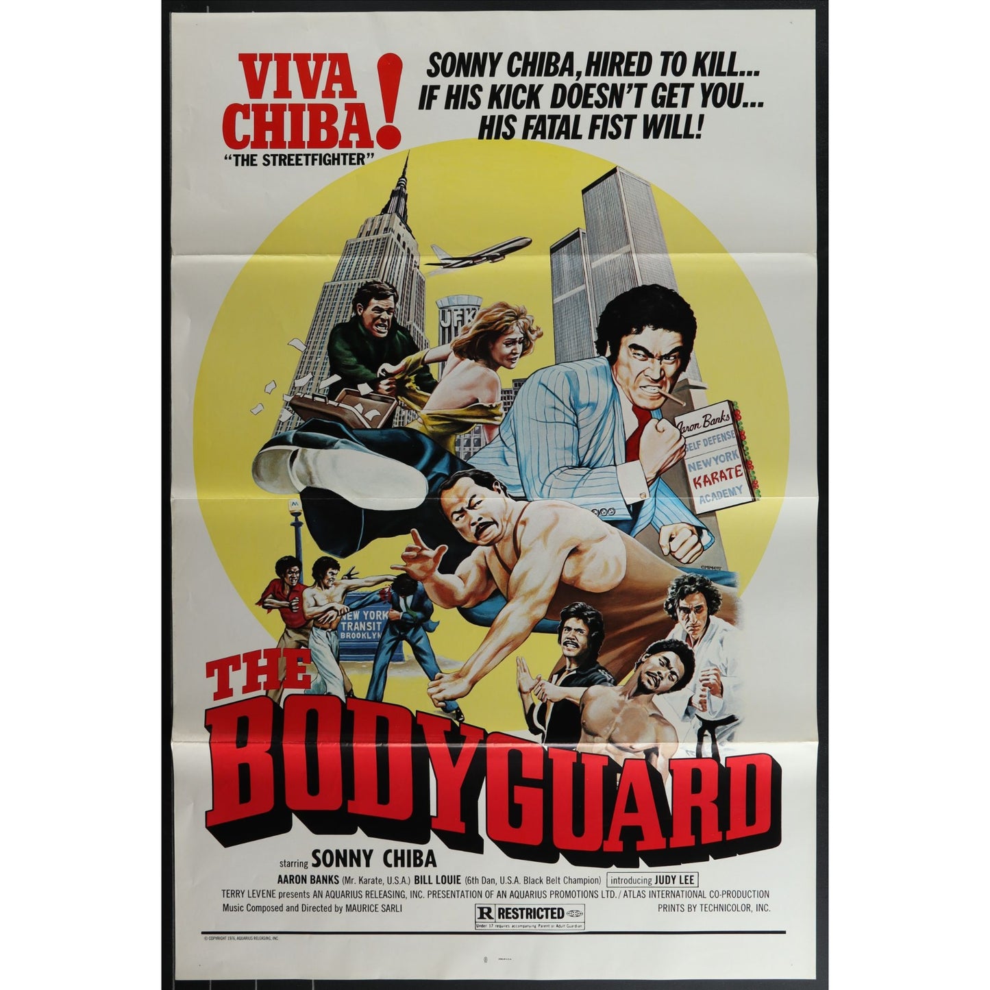 Collection of 31 Kung-Fu Martial Arts Tri-Folded Original Movie Posters