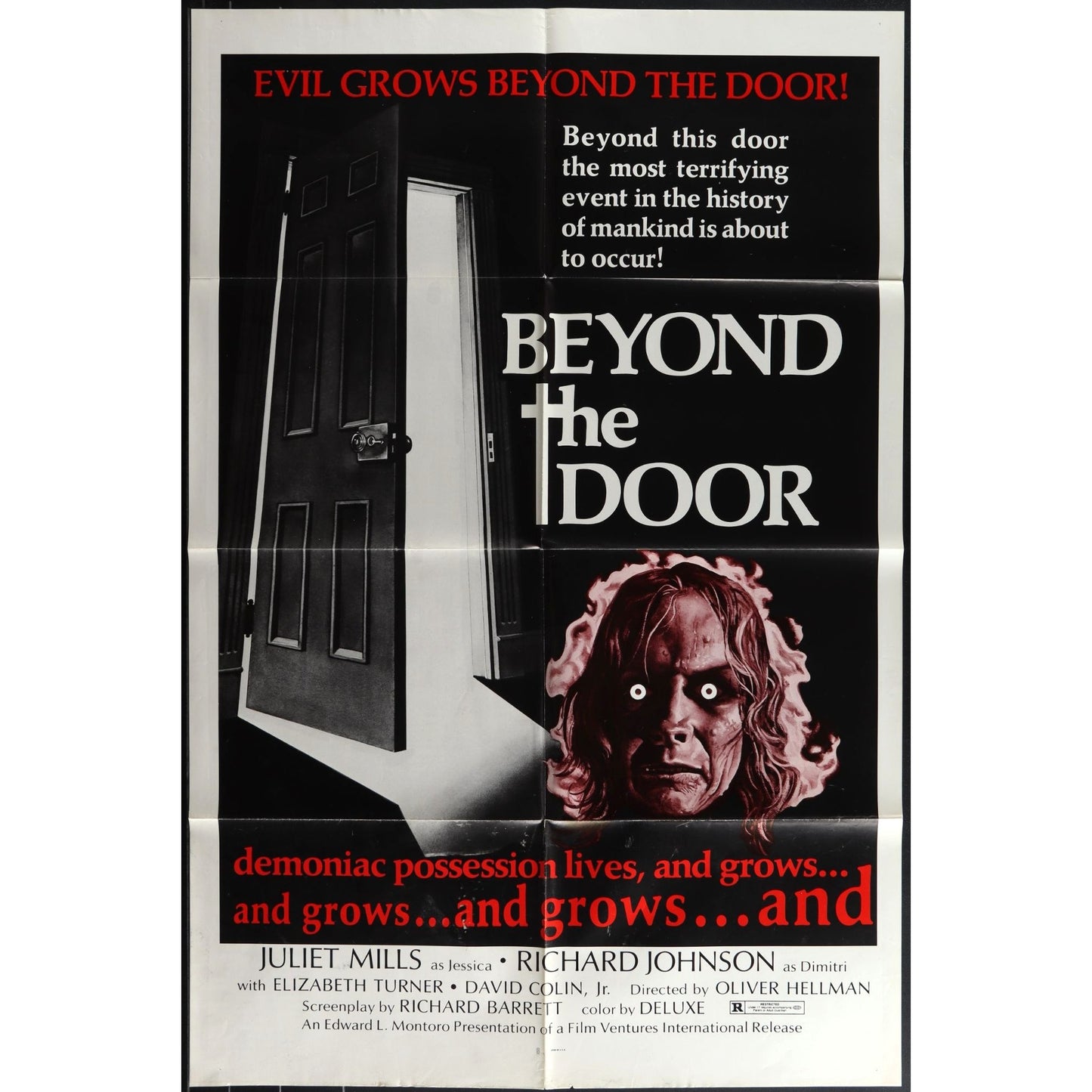 Beyond the Door (1974) Original Horror Movie Poster Folded 27x41 Juliet Mills