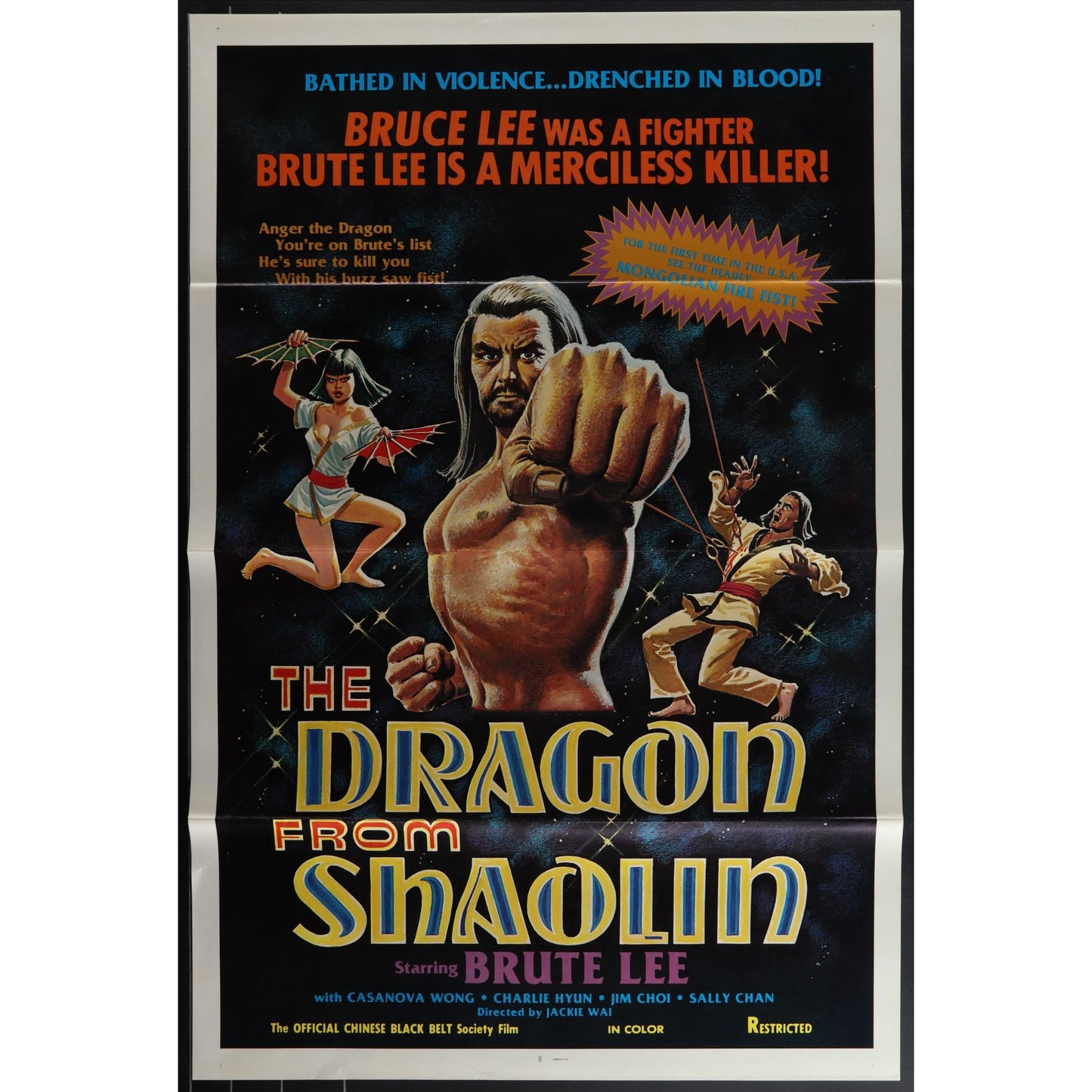 Collection of 31 Kung-Fu Martial Arts Tri-Folded Original Movie Posters