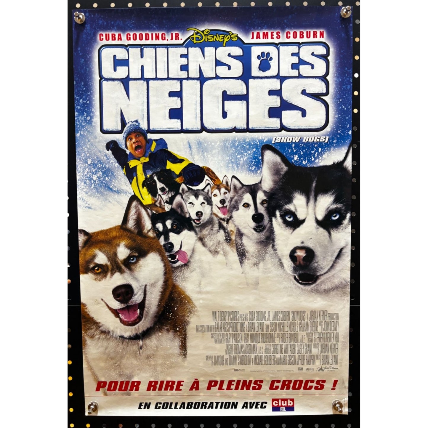 Snow Dogs (2002) Spanish Mini 16x24