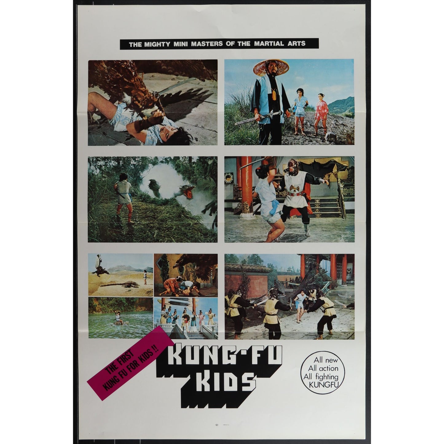 Collection of 31 Kung-Fu Martial Arts Tri-Folded Original Movie Posters