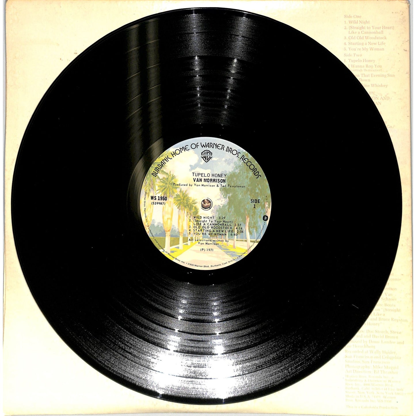 Van Morrison - Tupelo Honey Vinyl Record WS 1950
