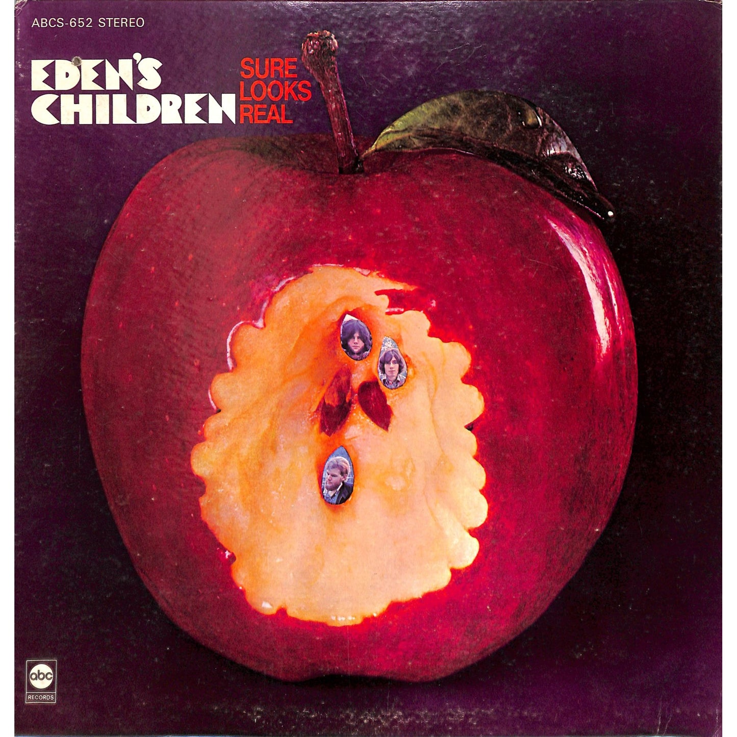 Eden's Children - Sure Looks Real Vinyl Record ABCS-652