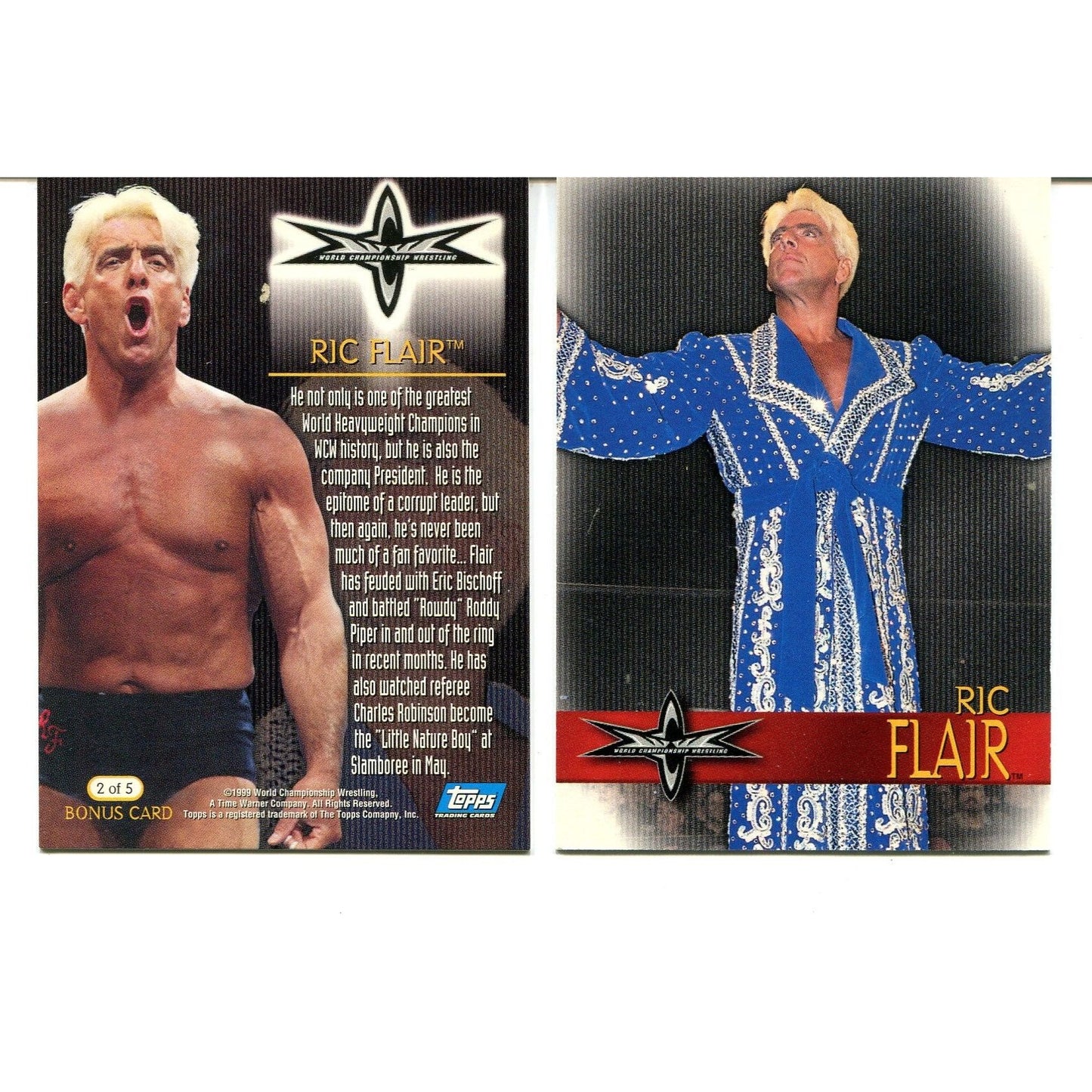 The Nature Boy: Ric Flair (1999) Wrestling VHS Tape