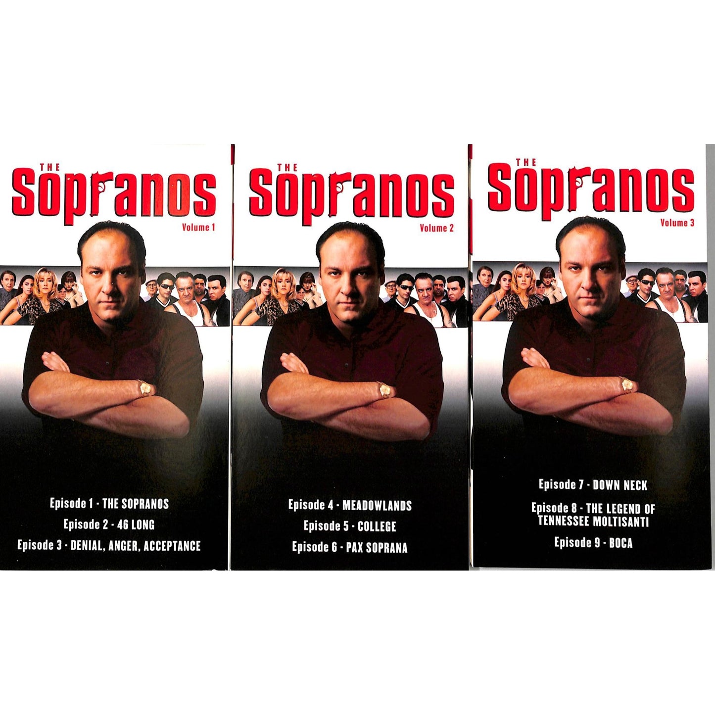The Sopranos: Complete First Season (1999) VHS Tape Good condition