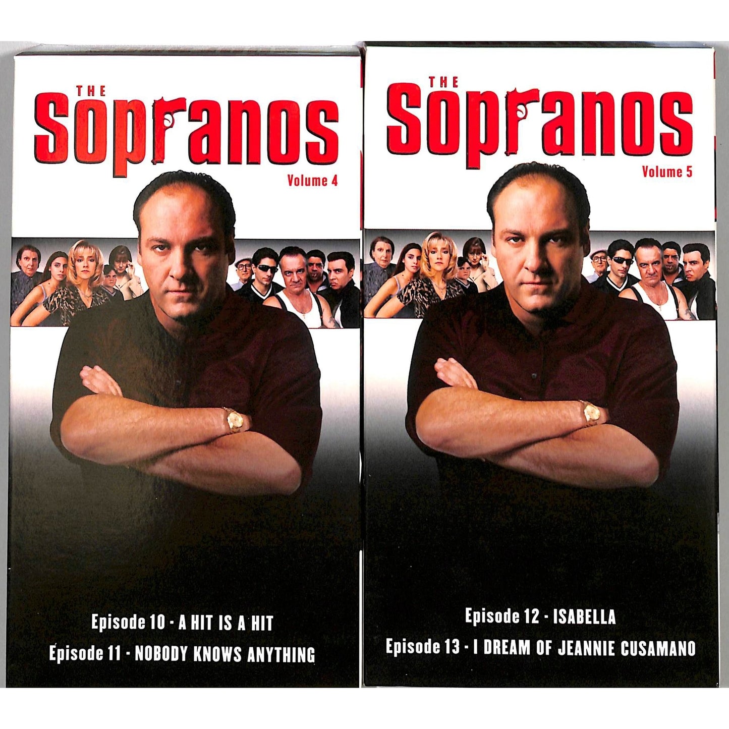 The Sopranos: Complete First Season (1999) VHS Tape Good condition