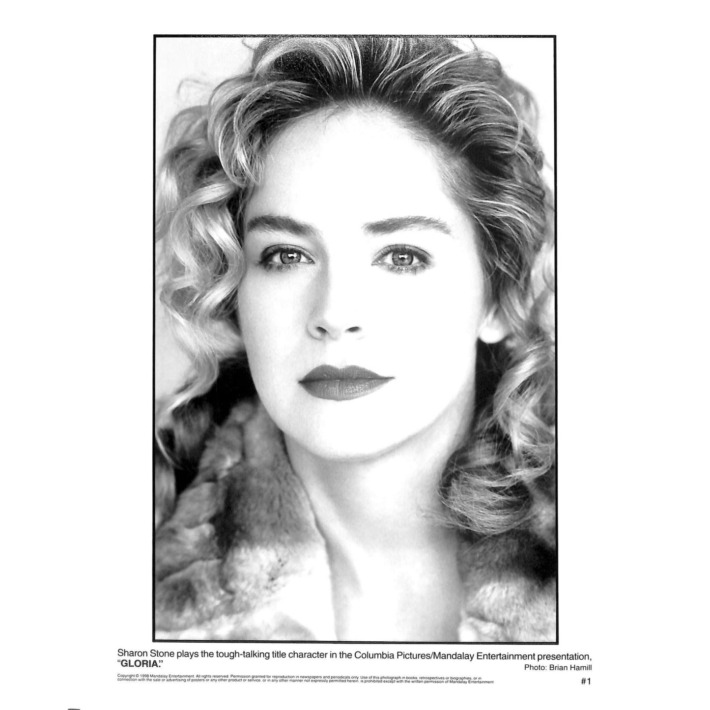 Gloria (1999) Movie Still Full Set 8x10