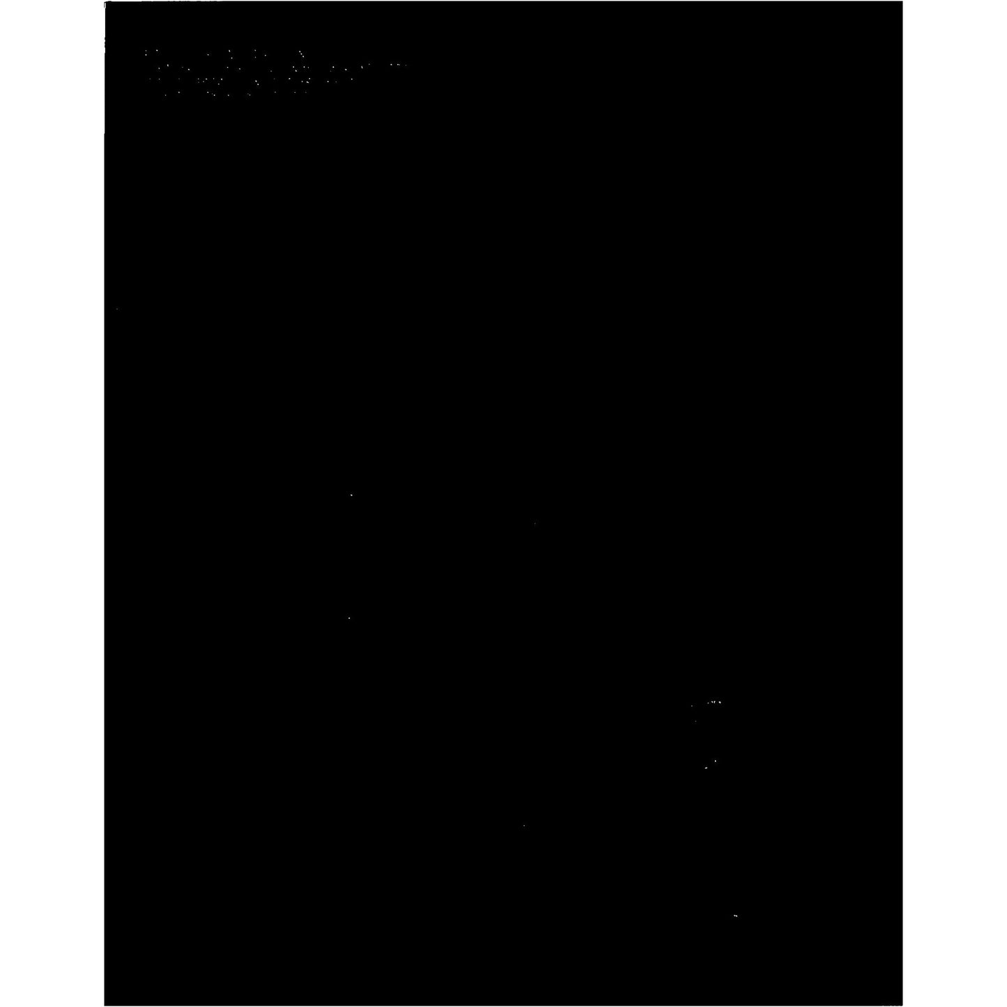 Remnants: Louise Nevelson & Aaron Siskind Catalog