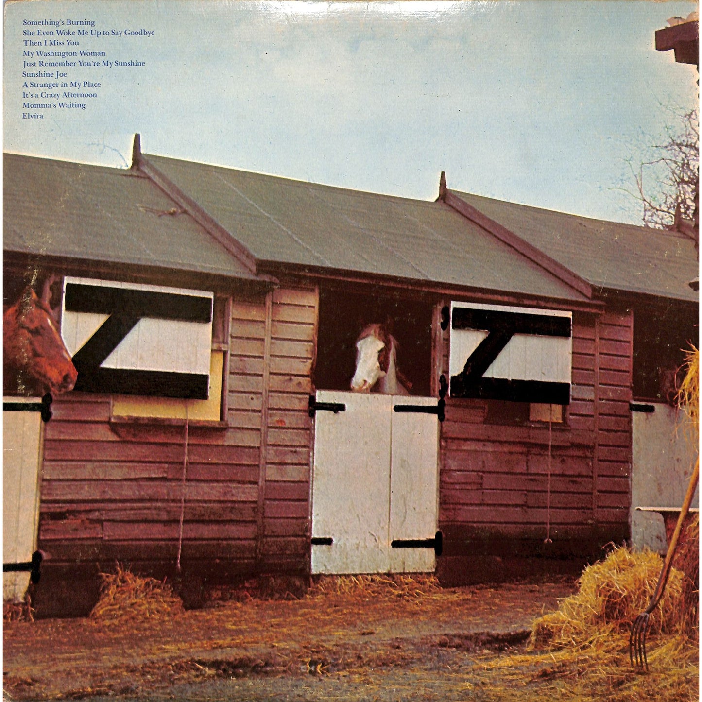 Kenny Rogers & The First Edition - Somethings Burning Vinyl Record RS 6385