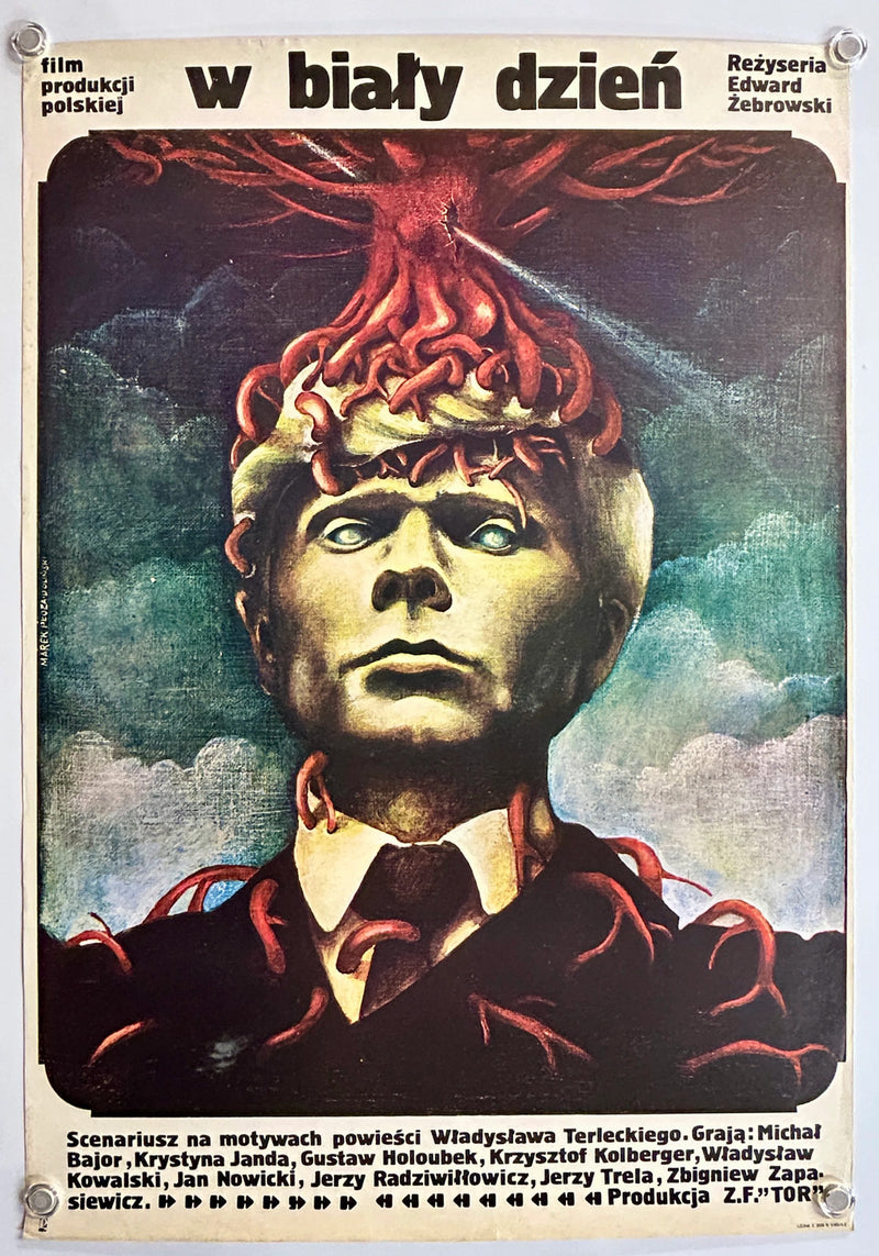 W bialy dzien (1981) Original Polish Movie Poster Folded 27x39