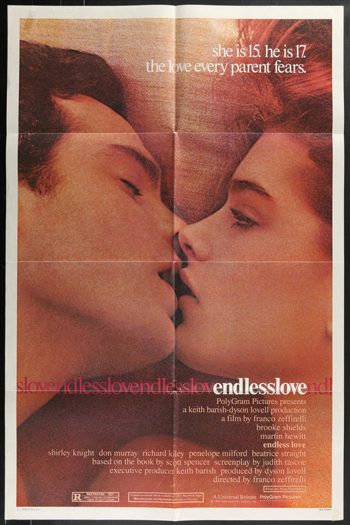 Endless Love (1981) Original Movie Poster Folded 27x41