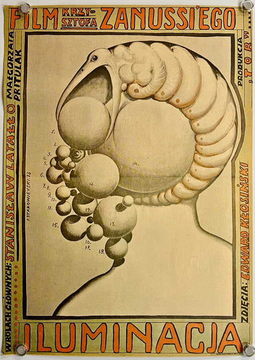 Iluminacja (1973) Original Polish Movie Poster Rolled 23x33
