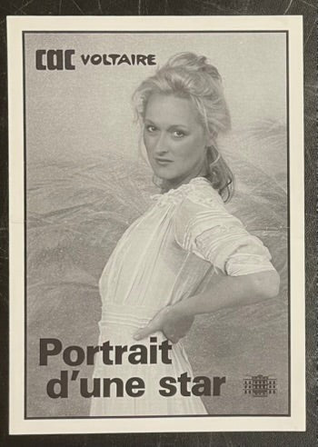CAC Voltaire – Portrait d’une star (1989) Original Poster 8.25x11.75