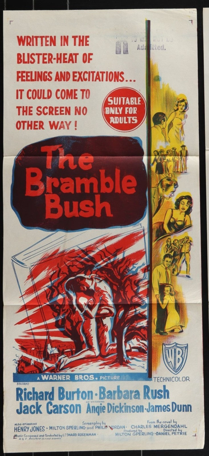 The Bramble Bush (1960) Original Australian Daybill Movie Poster Folded 13x30