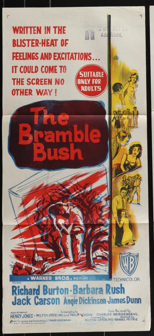 The Bramble Bush (1960) Original Australian Daybill Movie Poster Folded 13x30