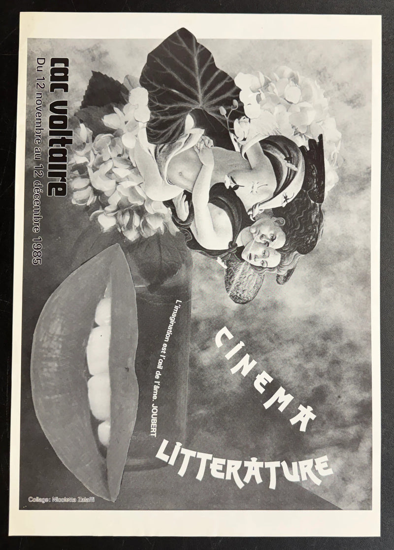 Cinéma & Littérature (1985) CAC Voltaire Poster 15.75x22.75
