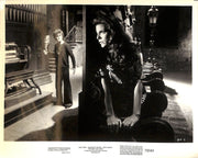 The Dead Are Alive (1972) Movie Still Full Set 8x10