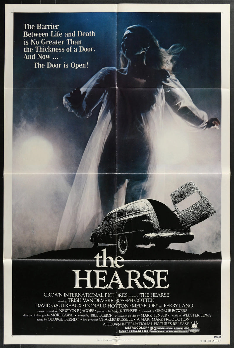 The Hearse (1980) Original Movie Poster F 27x41