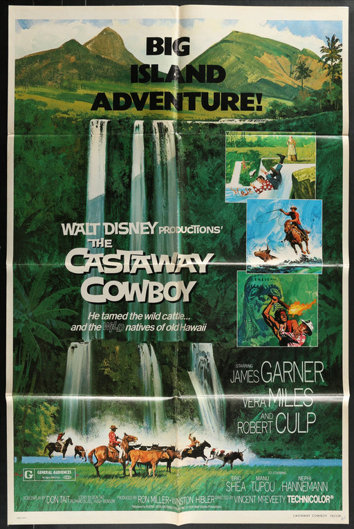 The Castaway Cowboy (1974) Original Movie Poster Folded 27x41