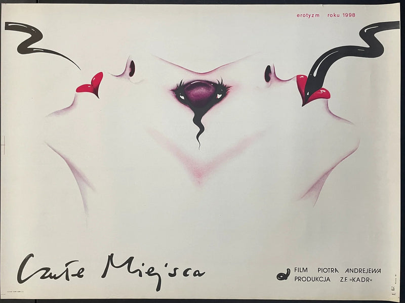 Czułe miejsca (1981) Original Polish Poster 27x36