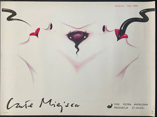 Czułe miejsca (1981) Original Polish Poster 27x36
