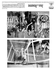 Zeus and Roxanne (1997) Movie Still Full Set 8x10