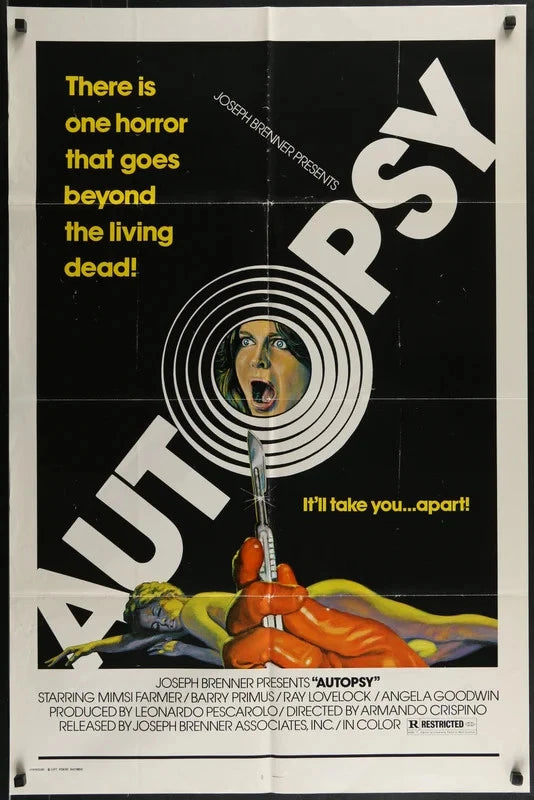 Autopsy 1977 Original One Sheet Movie Poster 27x41 Mimsy Farmer Giallo Horror