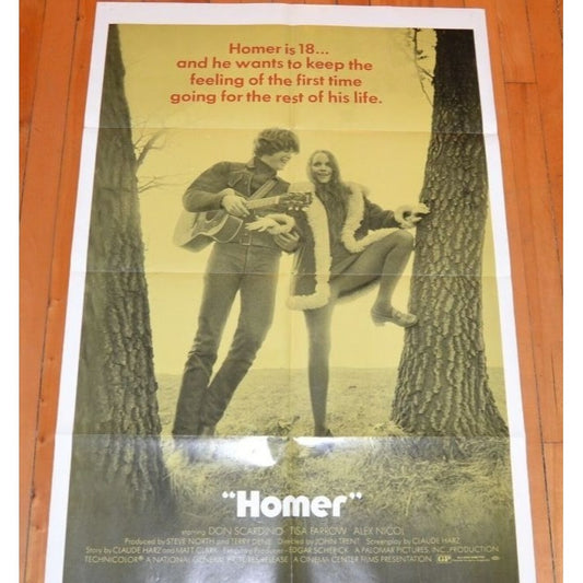 Homer (1970) Original Movie Poster 27x41 Folded Don Scardino