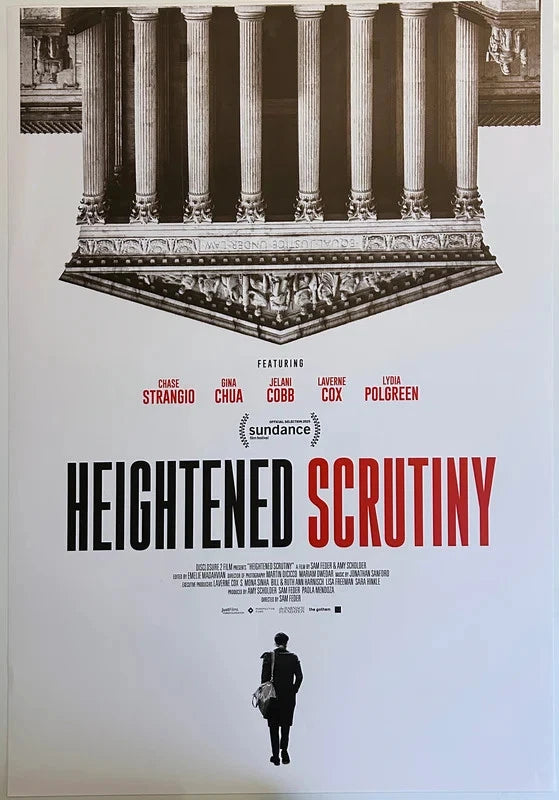 Heightened Scrutiny 2025 Original Movie Poster 27x40 SS Sam Feder