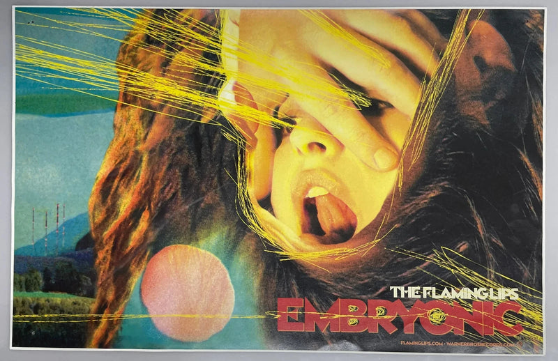 The Flaming Lips Embryonic 2009 11x17 Promo Poster Warner Bros 2-Sided