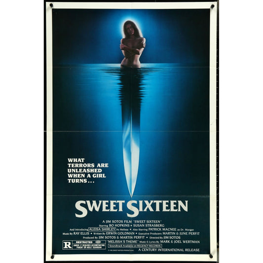 Sweet Sixteen (1983) Original Movie Poster Folded 27x41