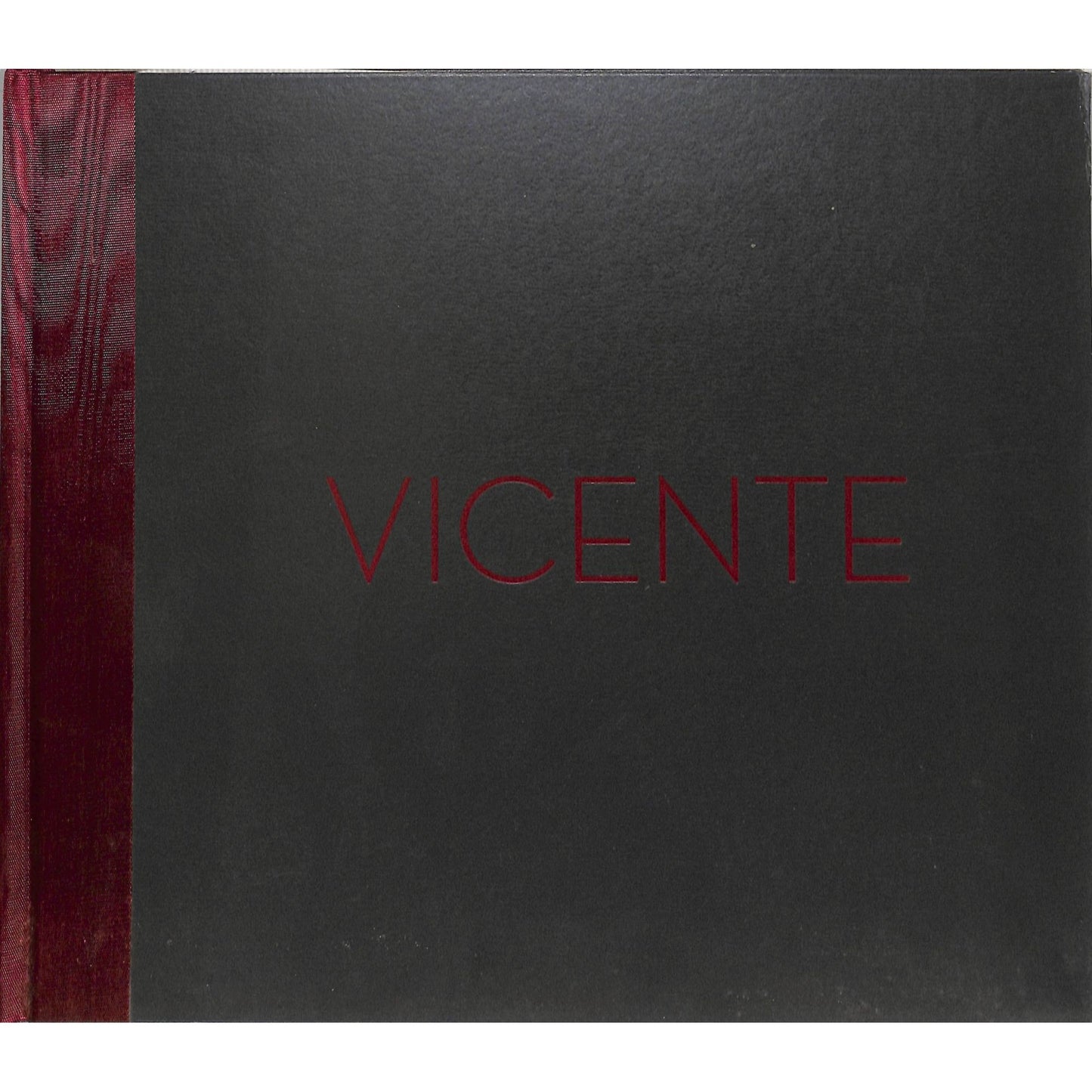 Vincente Art Catalog Feb 5-Mar 20, 2004